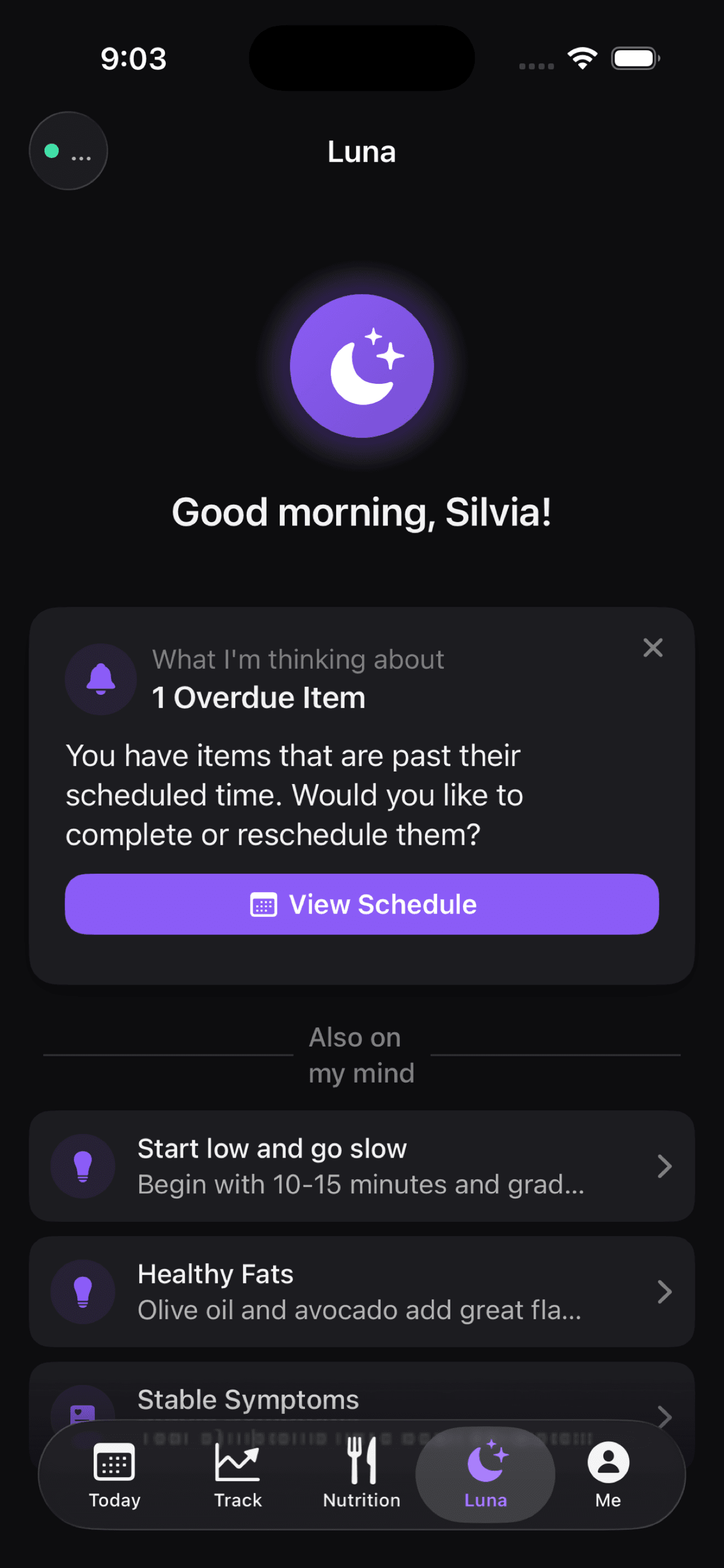 Luna AI on iPhone